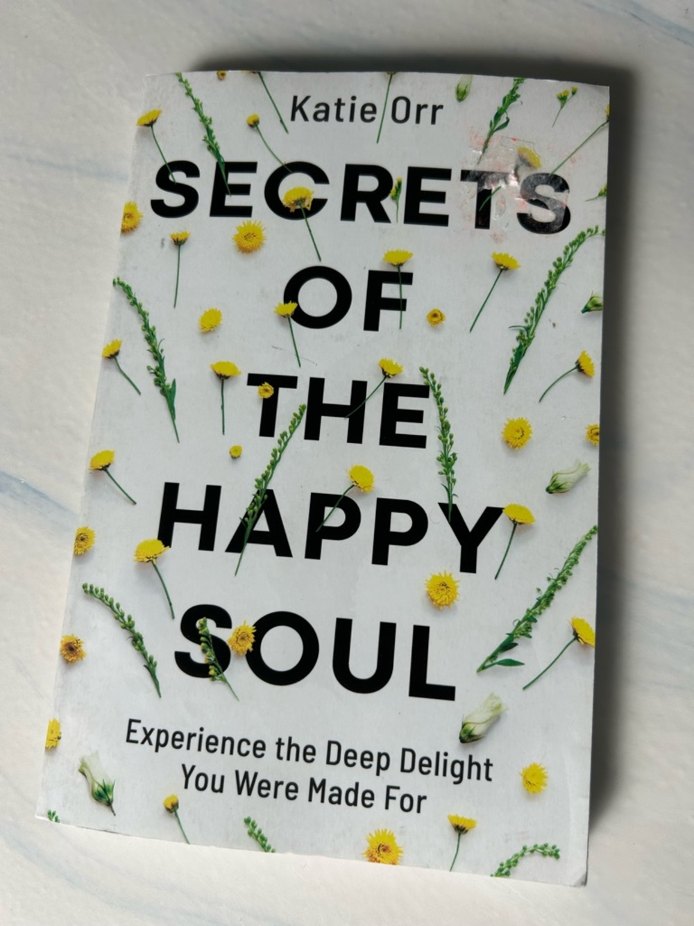 Secrets of the Happy Soul by Katie Orr - White & Yellow Floral Cover